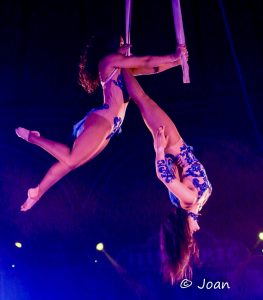 Aerial Straps: Elegancia y fuerza en estado puro